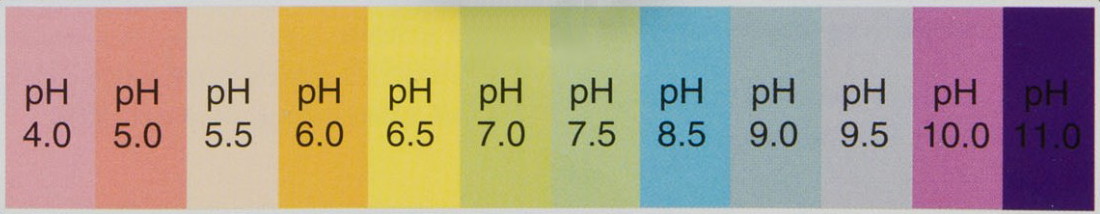 Tabla de colores medición PH por gotas